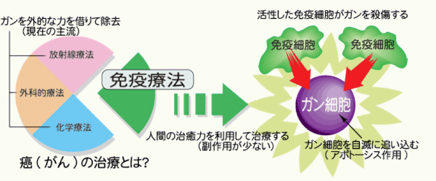 门塔大厦IGT专科医院内部照片1 门塔大厦IGT专科医院内部照片1