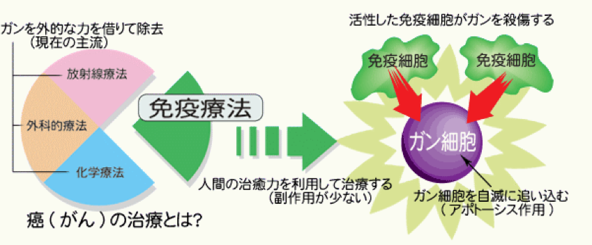 门塔大厦IGT专科医院内部照片1